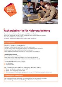 Titel PDF Ausbildung Fachpraktiker Holzverarbeitung