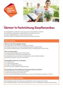Titel PDF Ausbildung Gärtner*in Fachrichtung Zierpflanzenbau